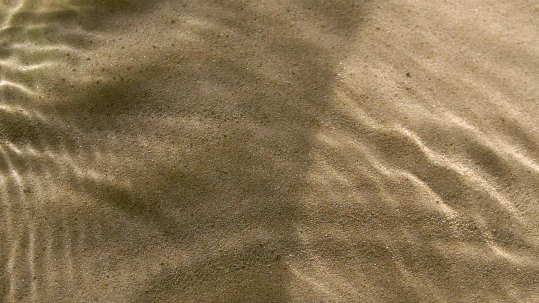 Sunlight rippling across the sand underwater